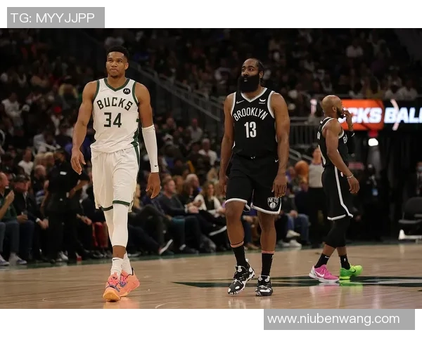 2013年公牛队与篮网队的经典对决回顾与分析