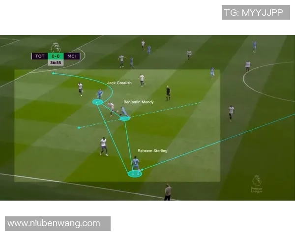 喀麦隆与荷兰上半场精彩对决分析及战术解读 喀麦隆与荷兰上半场精彩对决分析及战术解读