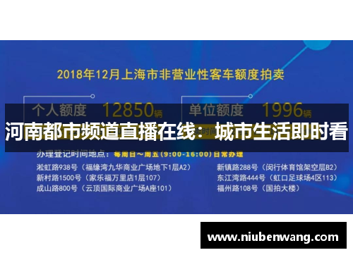河南都市频道直播在线：城市生活即时看