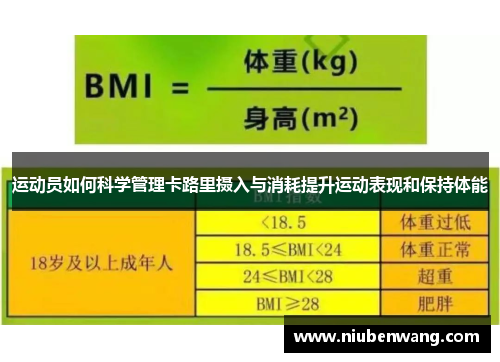 运动员如何科学管理卡路里摄入与消耗提升运动表现和保持体能