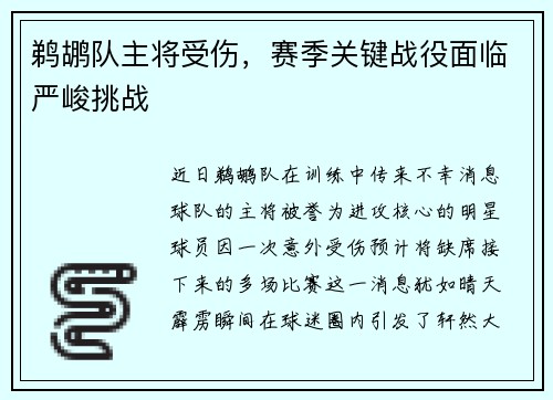 鹈鹕队主将受伤，赛季关键战役面临严峻挑战